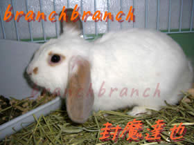 【34】生後3ヶ月が経過4