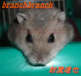 【17】ブルーサファイアのマリン