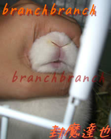 【35】生後3ヶ月が経過5