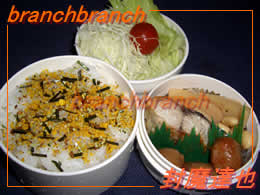 【77】男の手作り弁当！煮物と焼き鯖の弁当