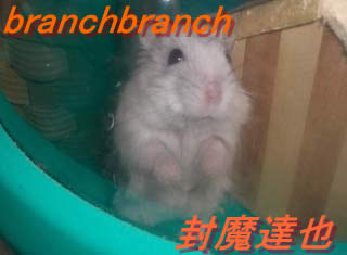 きょとん、とした瞳で見つめるチュワルフさん