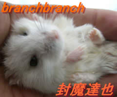 コンパクトになったチュワルフさん