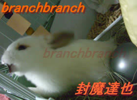 【9】水を飲んでるシーンを横から