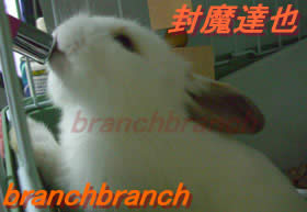 【10】水を飲んでるシーンを横から2