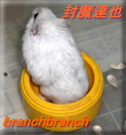 チュワルフの掃除中の行動3