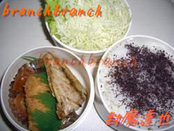 【76】男の手作り弁当！焼き鯖と白身魚とたまごのフライ弁当