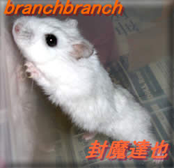 チュワルフの掃除中の行動4