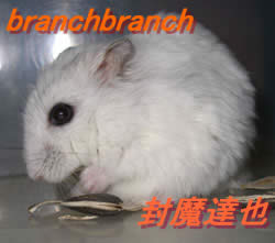 ひまわりの種を狙うチュワ1