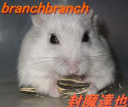 ひまわりの種を狙うチュワ3