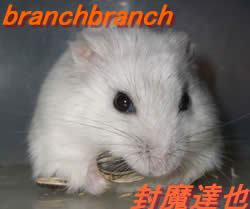 ひまわりの種を狙うチュワ4