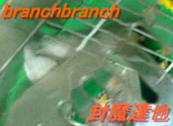 立ち寝中？のチュワルフさん１