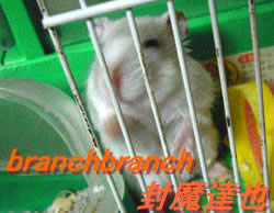 寝起きのチュワルフさん１