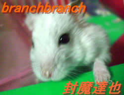 寝起きのチュワルフさん４