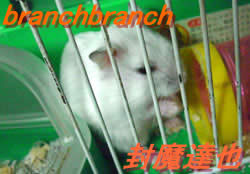 寝起きのチュワルフさん３