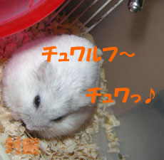 ちゅわっちゅわっちゅわ♪