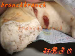 イチゴベーグル