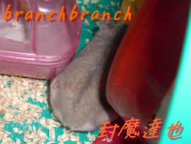 【15】マリンの背中