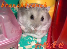 【14】マリンの手