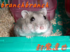 【13】マリンアップ