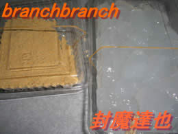 わらびもつぃ!?