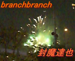 天神祭奉納花火1