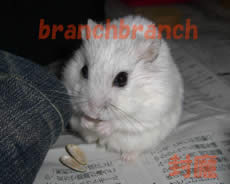 チュワルフさん