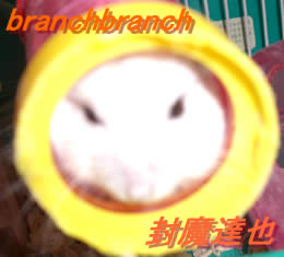 詰まってるんで、詰まり具合