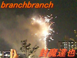 天神祭奉納花火2