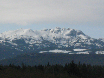 キャンベルリバー