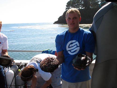 ルフェッセンス