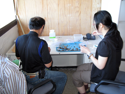 ハマーとミポリン