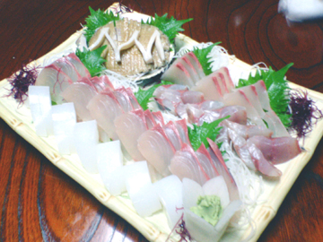 アワビとヒラマサとアジとアオリイカ