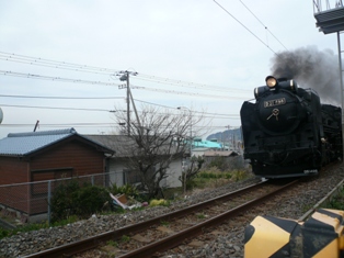 D51