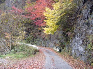 広河原逆川林道