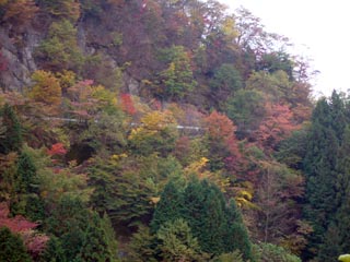 広河原逆川林道