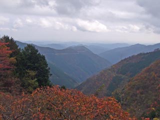 広河原逆川林道