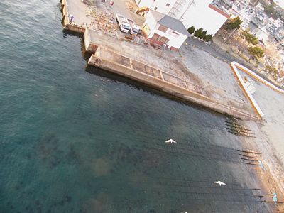 城ヶ島大橋から下を見ると線路らしきものが