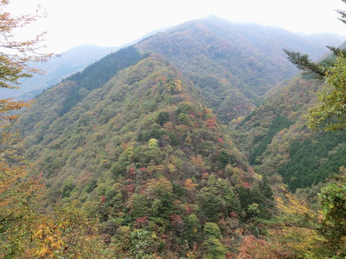 大洞林道からの紅葉