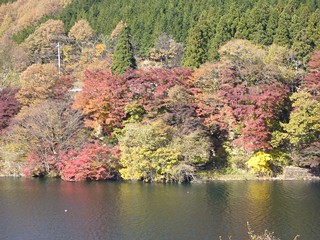 草木湖岸　紅葉