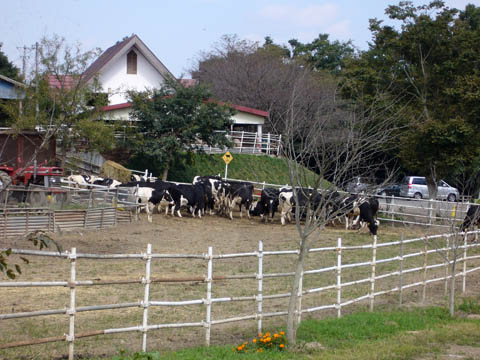 榎本牧場