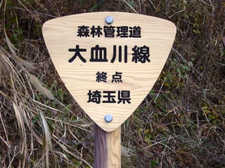 大血川林道終点