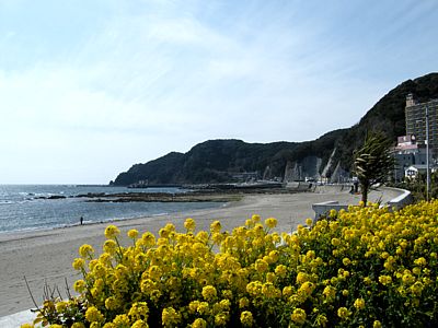 内浦海水浴場にて