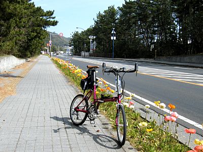 鴨川シーワールド付近の国道128号線にて