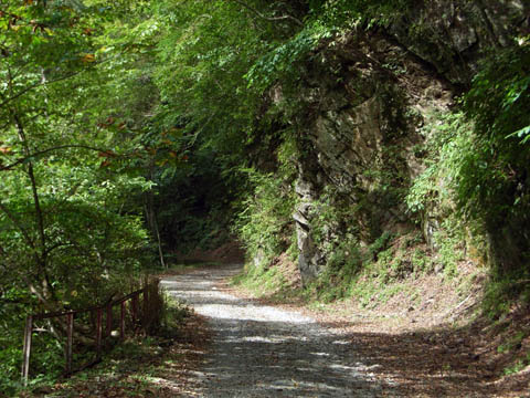 入川林道