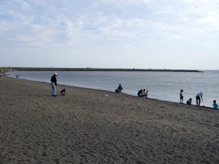 葛西海浜公園西なぎさ