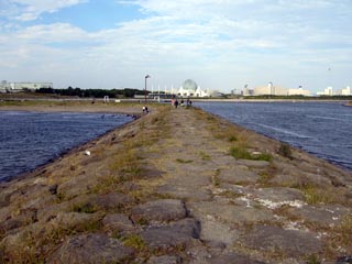 葛西海浜公園西なぎさ