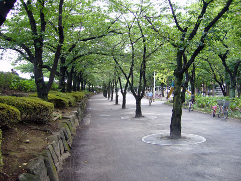 20070701_sumida.jpg