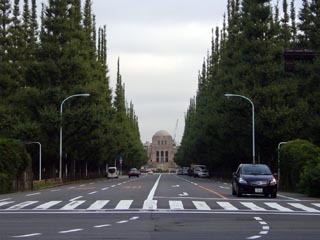 青山通りからのいちょう並木