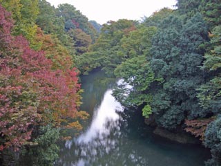 岩根橋より入間川を望む