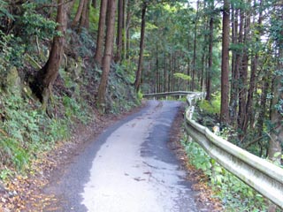 小岩井?近辺